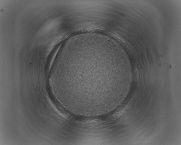 X0000073750638200608171332