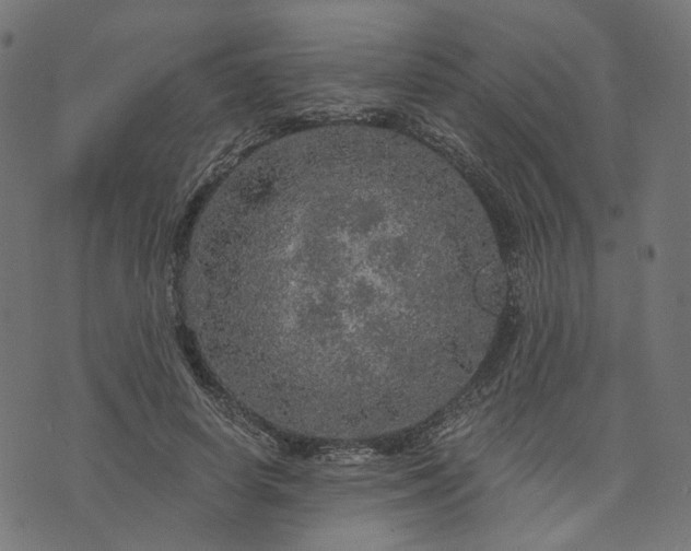 X0000073750642200608171332