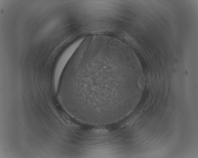 X0000073750644200608171332