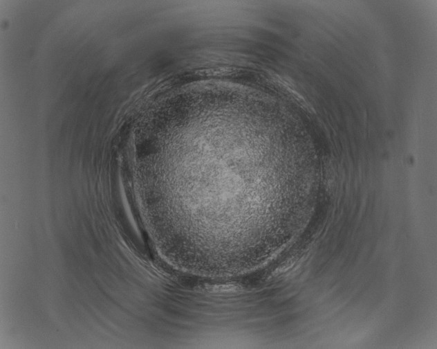 X0000073750645200608171332