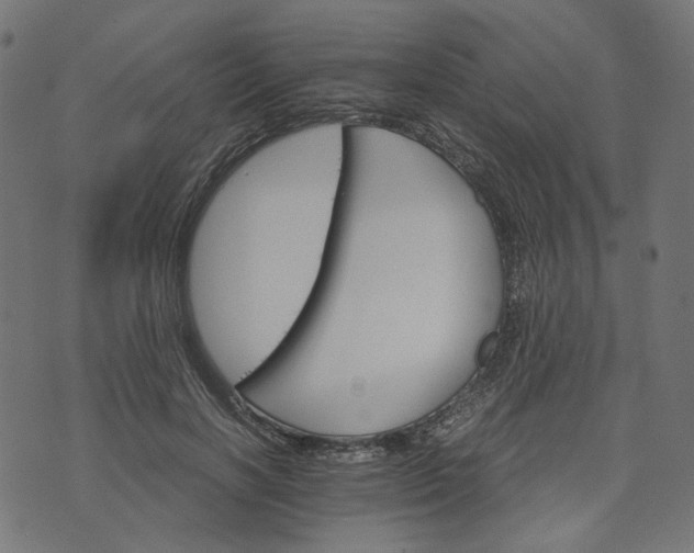 X0000073750646200608171332