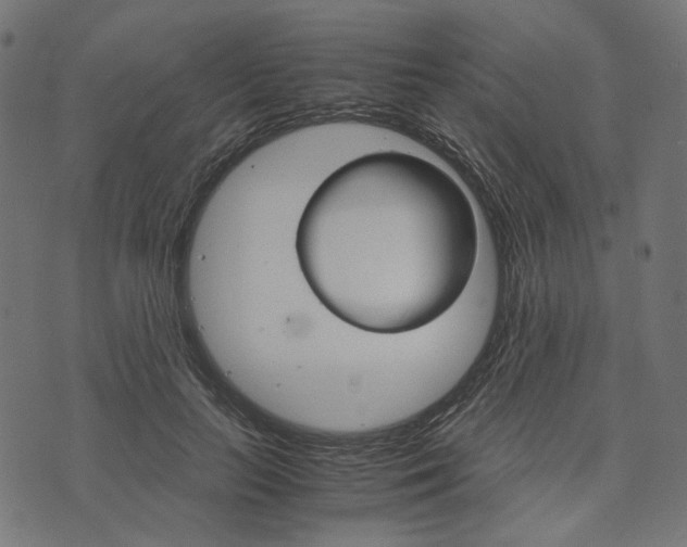 X0000073750647200608171332