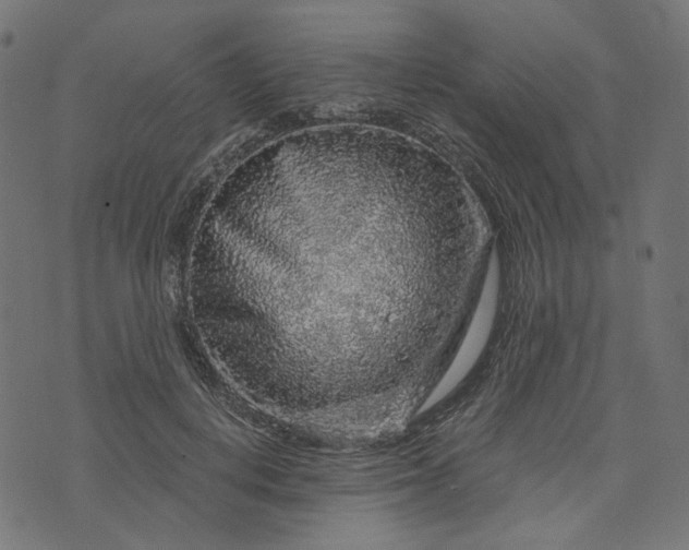 X0000073750648200608171332