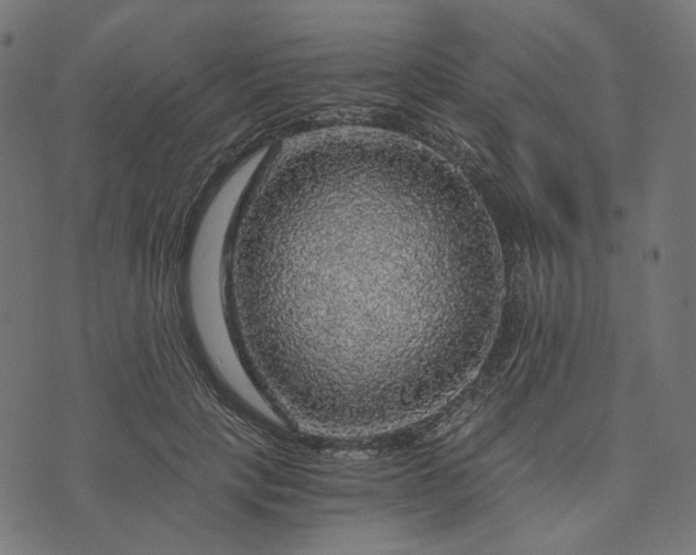 X0000073750649200608171332