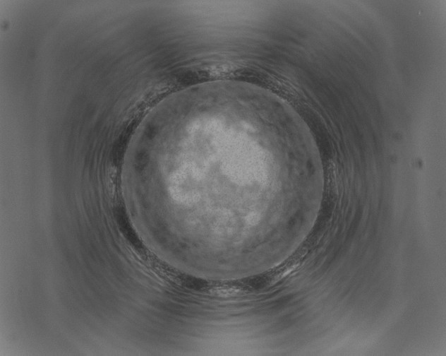 X0000073750650200608171332