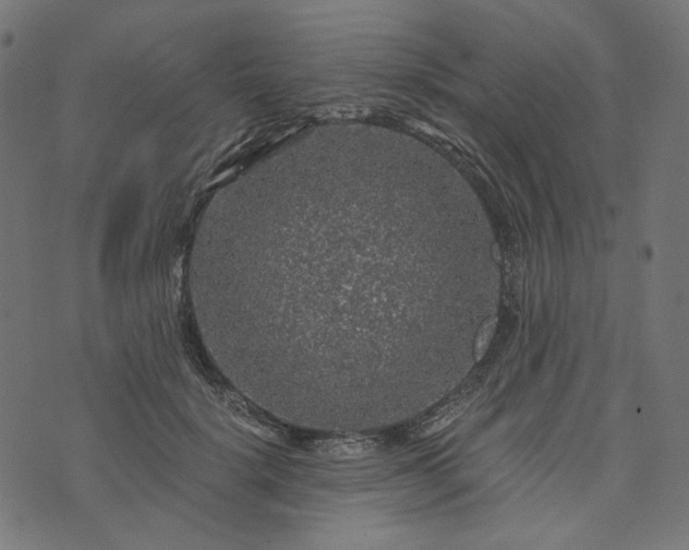 X0000073750652200608171332