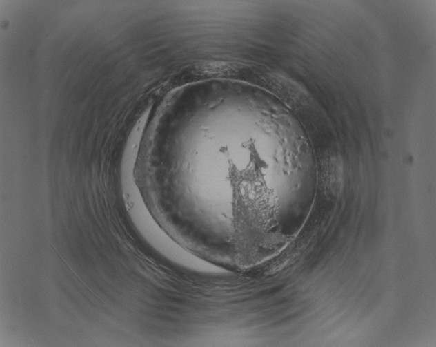 X0000073750653200608171332