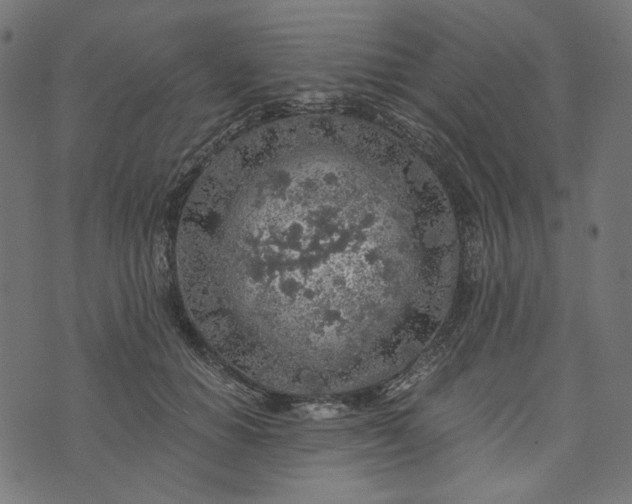 X0000073750654200608171332