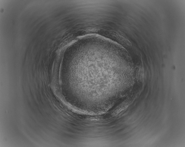 X0000073750655200608171332