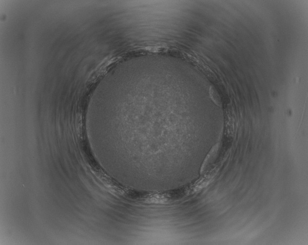 X0000073750656200608171332