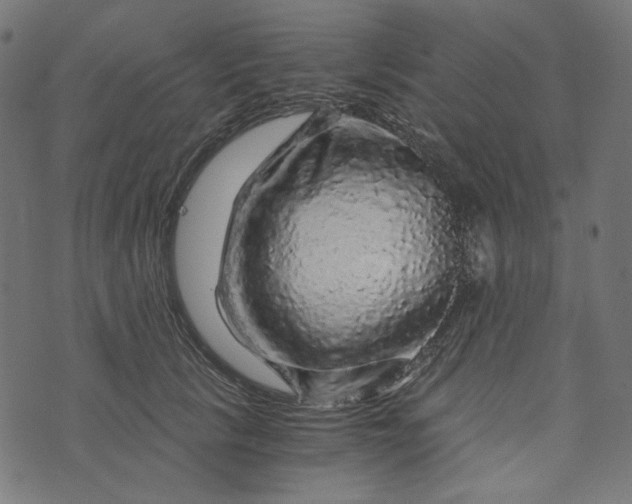 X0000073750657200608171332