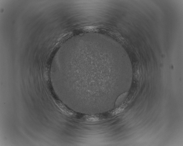 X0000073750658200608171332