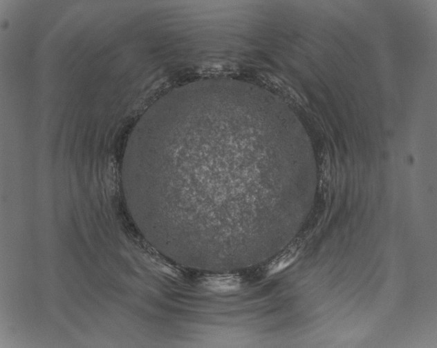 X0000073750659200608171332