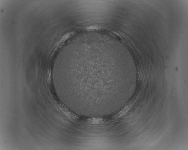 X0000073750660200608171332