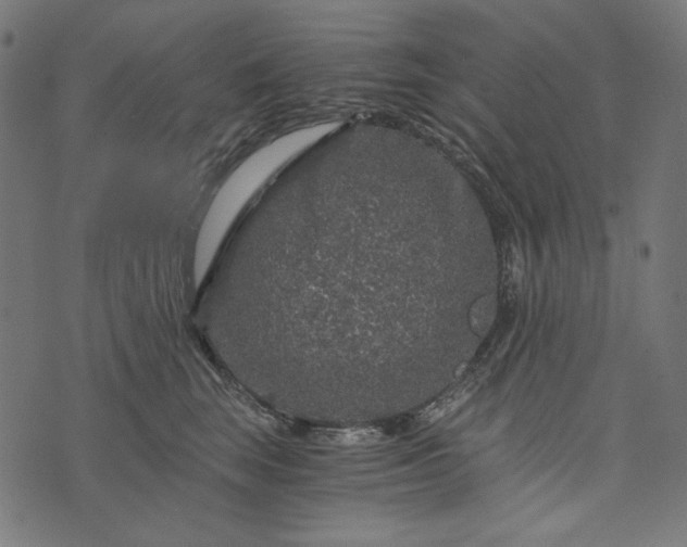 X0000073750663200608171332