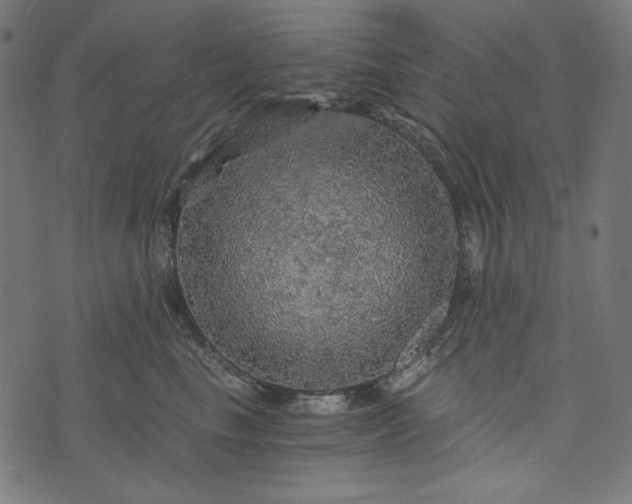 X0000073750665200608171333