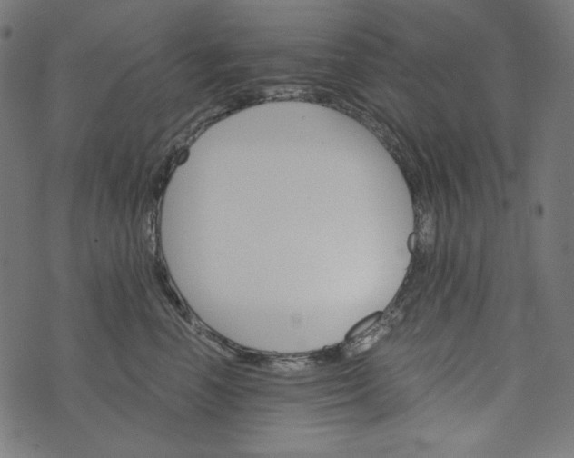 X0000073750666200608171333