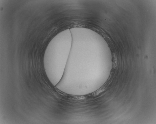 X0000073750667200608171333