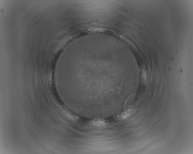 X0000073750668200608171333