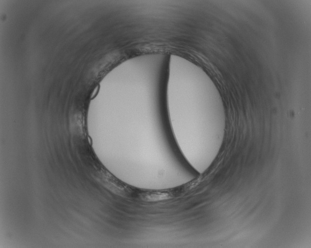 X0000073750669200608171333