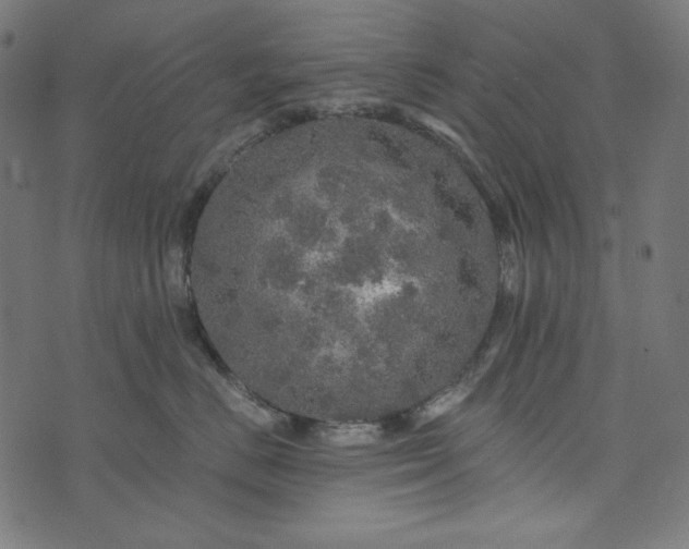 X0000073750670200608171333