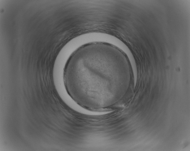 X0000073750671200608171333