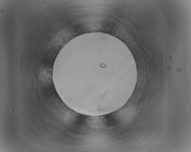 X0000073750672200608171333