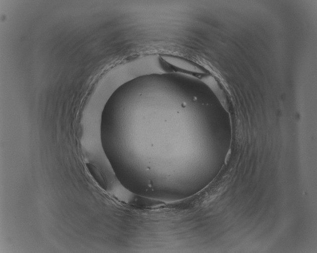 X0000073750673200608171332