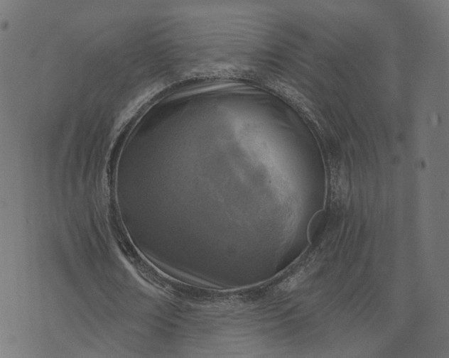 X0000073750674200608171332