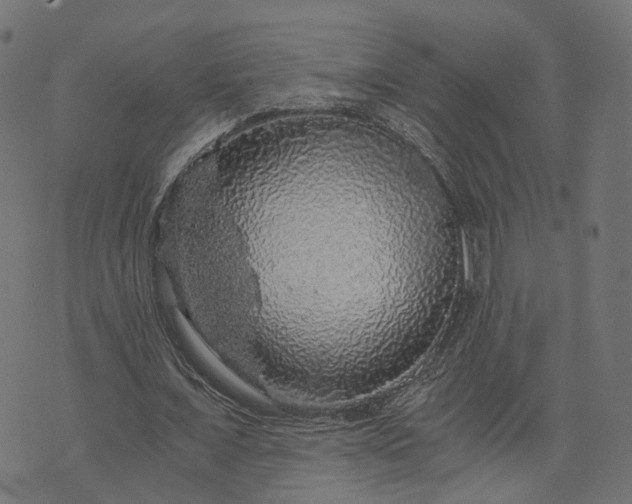 X0000073750675200608171332