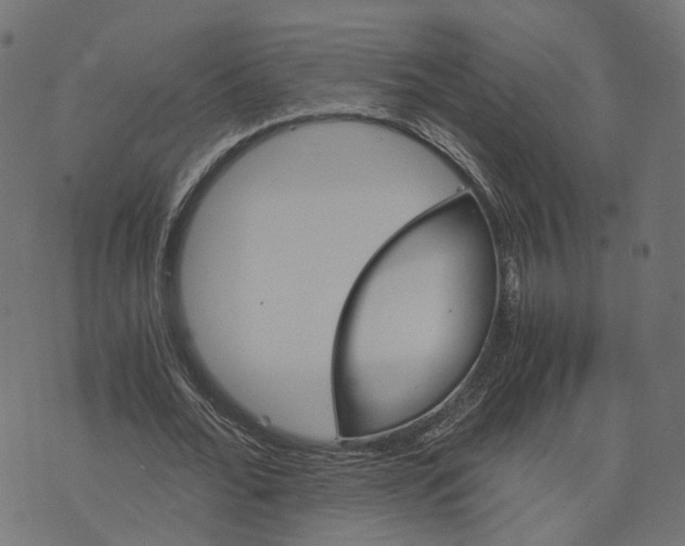 X0000073750676200608171332