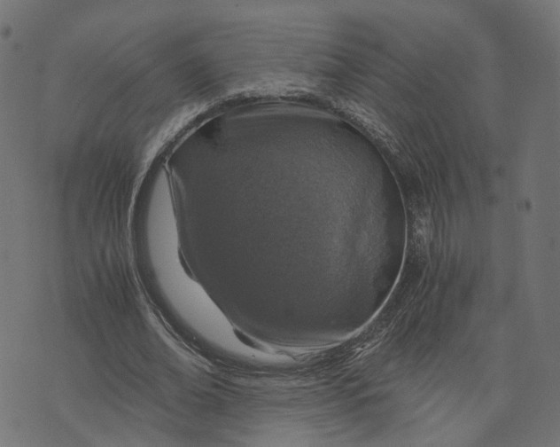 X0000073750678200608171332