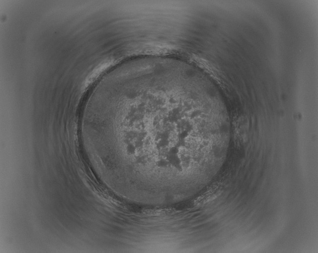 X0000073750679200608171332