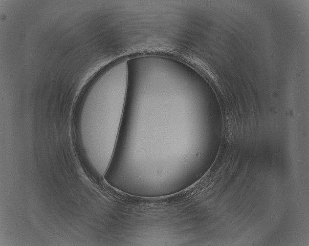 X0000073750680200608171332