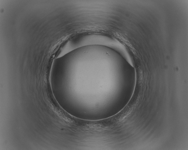 X0000073750681200608171332