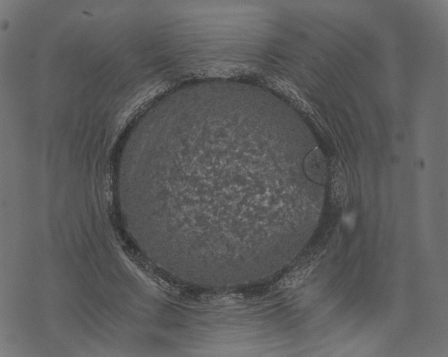 X0000073750683200608171332