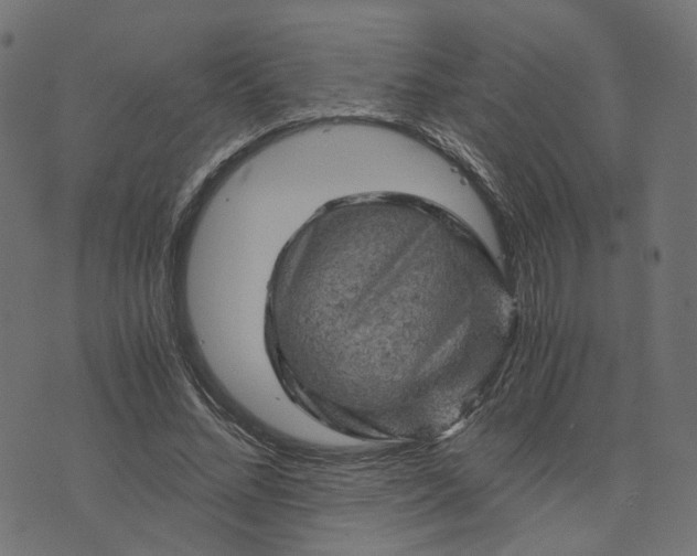 X0000073750684200608171332