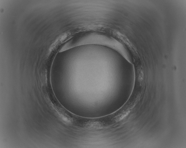 X0000073750685200608171332