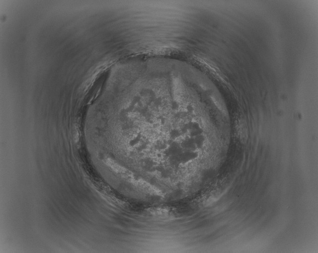 X0000073750687200608171332