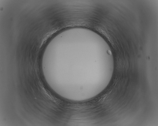 X0000073750688200608171332