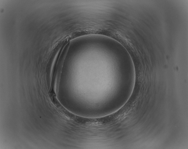 X0000073750689200608171332