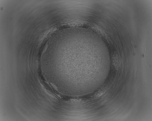 X0000073750690200608171332