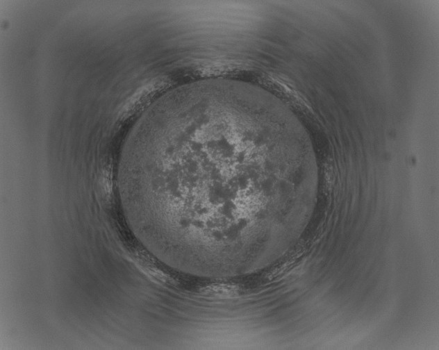 X0000073750691200608171332