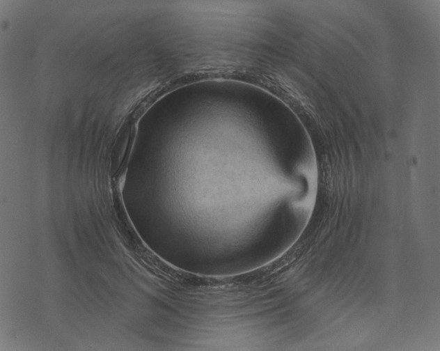 X0000073750692200608171332