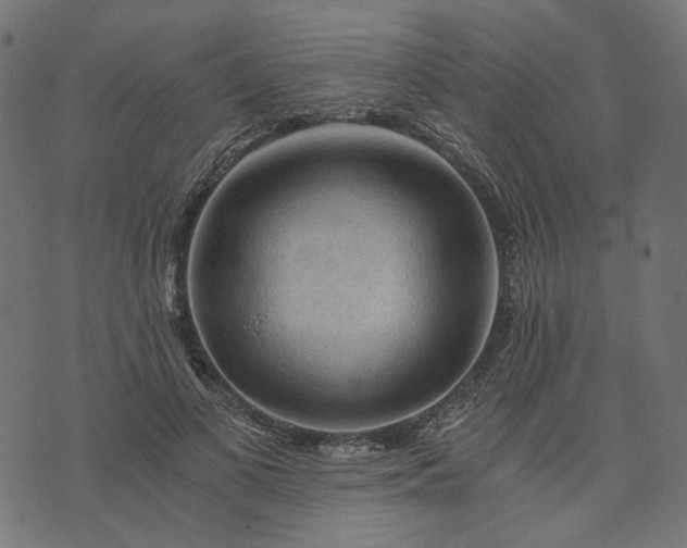 X0000073750693200608171332