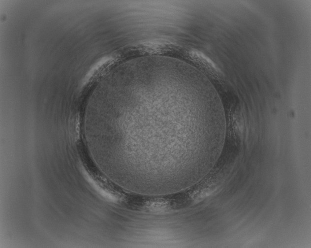 X0000073750694200608171332