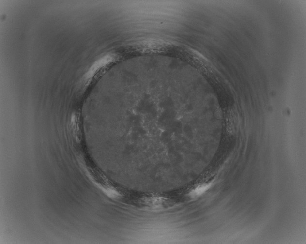 X0000073750695200608171331