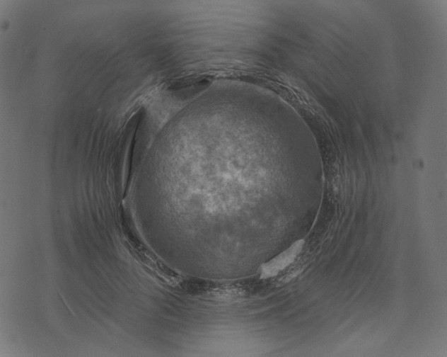 X0000073750696200608171331