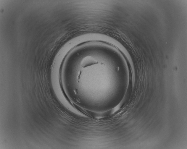 X0000073750697200608171331