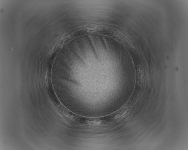 X0000073750698200608171331